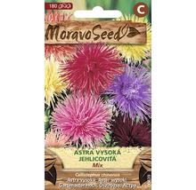 Balení semen směsi aster Moravo Seed