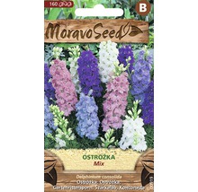 Balení semen Moravo Seed se smíšenými semeny Delphinium consolida