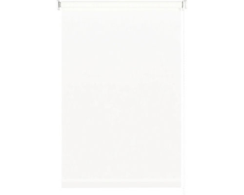Roleta propouštějící denní světlo bílá 80x175 cm