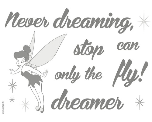 Samolepky na zeď Disney Edition 4 Never Stop dreaming 50x70 cm