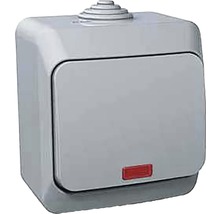 Vypínač Schneider Electric WDE000614 Cedar Plus ř.1 s orientační kontrolkou šedý