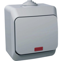 Vypínač Schneider Electric WDE000614 Cedar Plus ř.1 s orientační kontrolkou šedý