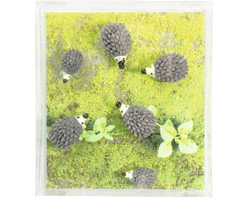 Dekorace s ježčími motivy v průhledné krabičce