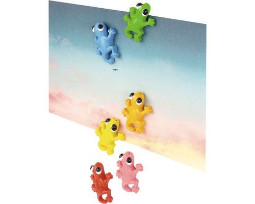 Vícebarevné magnetky žáby jako dekorace na poznámkové desky