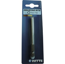 Průmyslový bit Torx T20