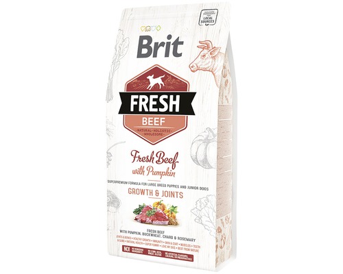 Granule pro psy Brit Fresh Beef Puppy Large 2,5 kg Brit Čerstvé hovězí s dýní, balení krmiva pro psy