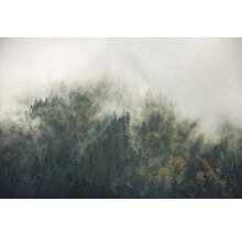 Fototapeta vliesová SH036-VD3 Carpathian Tales 3-dílná 300x200 cm
