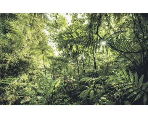 Fototapeta vliesová SH041-VD4 Into The Jungle 4-dílná 400x250 cm