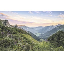 Krajina s horami, vegetací a údolím