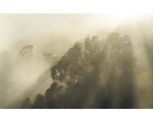 Fototapeta vliesová SH067-VD4 Misty Mountain 4-dílná 400x250 cm