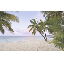 Pohled na tropickou písečnou pláž s palmami