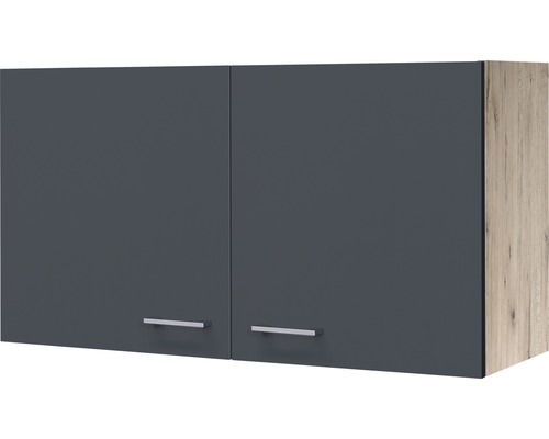 Kuchyňská skříňka horní s dvířky Flex Well Tiago šířka 100 cm čedičová šedá Závěsná skříňka se dvěma šedými dvířky a stříbrnými úchyty