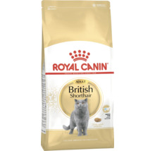 Balení krmiva pro dospělé britské krátkosrsté kočky Royal Canin