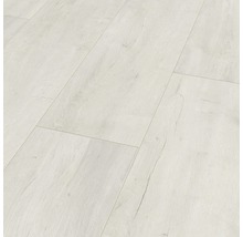 Laminátová podlaha 8.0 Exquisit Plus Oriental Oak bílá-thumb-0 Laminátová podlaha 8.0 Exquisit Plus Oriental Oak bílá-thumb-0