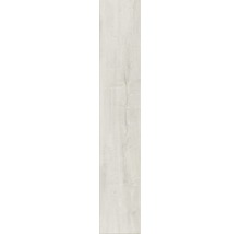 Laminátová podlaha 8.0 Exquisit Plus Oriental Oak bílá-thumb-7 Laminátová podlaha 8.0 Exquisit Plus Oriental Oak bílá-thumb-7