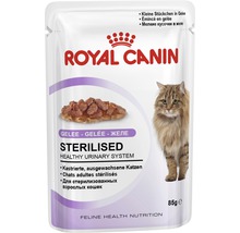 Royal Canin krmivo pro kastrované kočky v 85gramovém sáčku