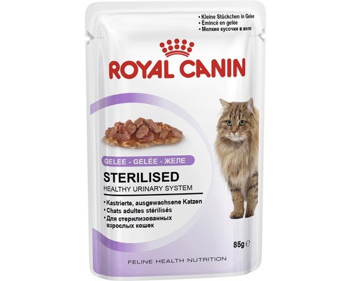 Krmivo pro kočky Royal Canin FHN Sterilised jelly 85 g kapsička Royal Canin krmivo pro kastrované kočky v 85gramovém sáčku