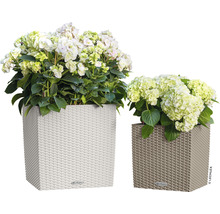 Dva čtvercové květináče s pleteným vzorem a osázené hortenziemi