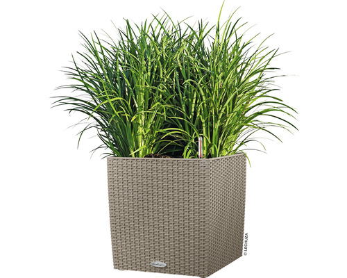 Čtvercový květináč s osázením