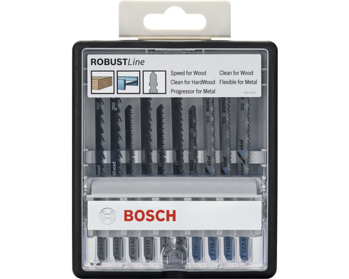 Sada pilových listů Bosch RobustLine ,10 ks