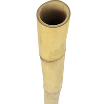 Bambusová trubka Ø 7-8 cm délka 200 cm-thumb-0