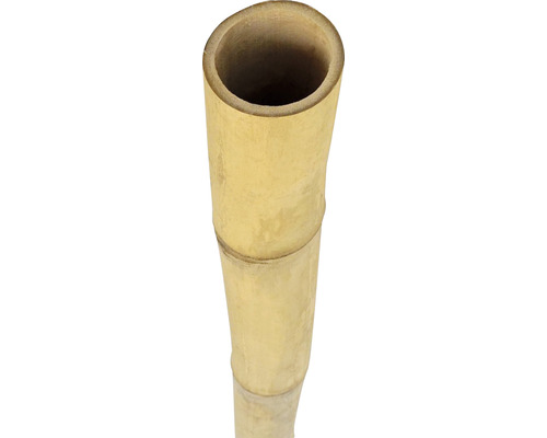 Bambusová trubka Ø 7-8 cm délka 200 cm-0