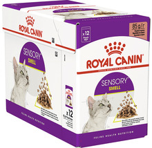 Krmivo pro kočky Royal Canin Sensory Smell, 12 kusů