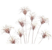 Dekorativní umělé větve pírkovité trávy pro bytové dekorace