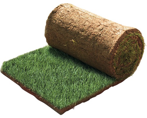 Trávníkový koberec AGRO Premium