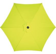 Pohled shora na slunečník