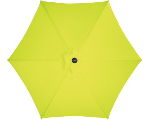 Pohled shora na slunečník