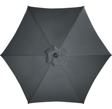 Šedý slunečník zespodu