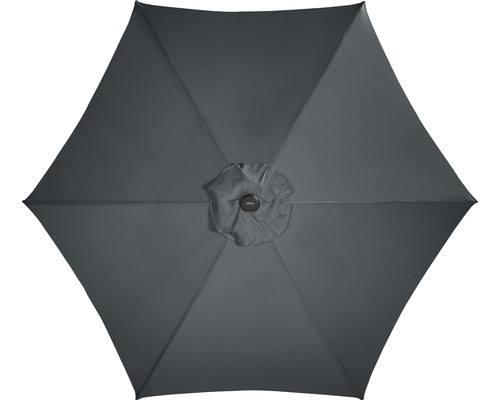 Šedý slunečník zespodu