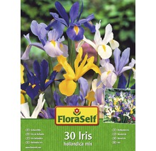 Balení FloraSelf 30 kosatců hollandica mix