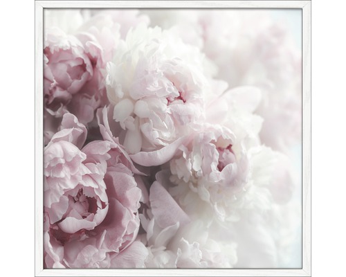 Dekorativní nástěnný obraz s motivem pivoňky v rámu
