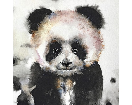 Obraz na plátně Panda 30x30cm