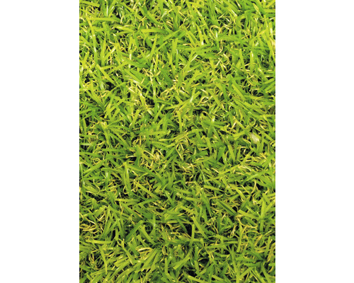 Umělý trávník Garden Grass zelený šířka 100 cm (metráž)