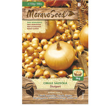 MoravoSeed Cibule sazečka Stuttgart, přibližně 150 gramů nebo 90 kusů