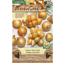 Balení šalotky Moravo Seed Golden Gourmet
