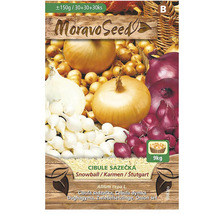 Sazečka cibule Moravo Seed, Snowball, Karmen, Stuttgart, 9 kilogramů