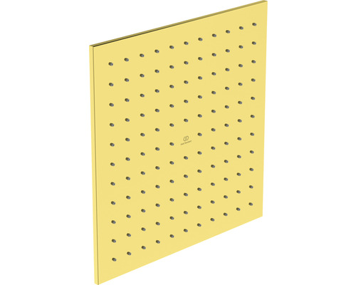 Čtvercová sprchová hlavice z kovu s vodními tryskami a logem American Standard