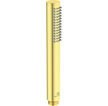 Sprchová hlavice Ideal Standard 25 x 25 mm zlatá BC774A2