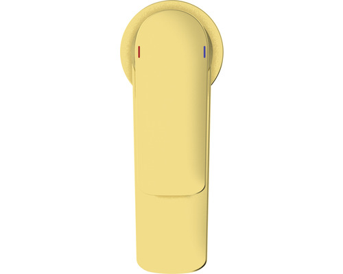 Fotografie samostatné baterie s pákou