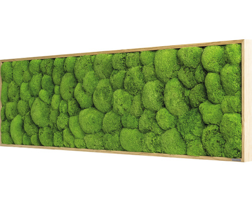 Mechový obraz s dřevěným rámem