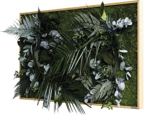 Mechový obraz s různými rostlinami v dřevěném rámu