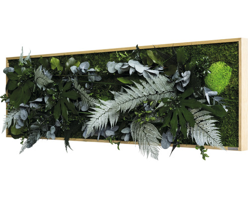 Mechový obraz s různými rostlinami v dřevěném rámu