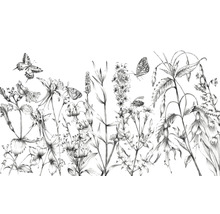 Ilustrace divokých květin a motýlů