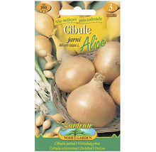 Sada semen cibule Alice
