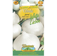 Semena cibule White Lisbon