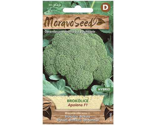 Brokolice APOLENA F1 - hybrid MoravoSeed